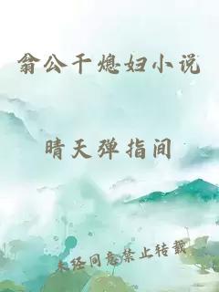 翁公干熄婦小說