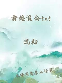 翁熄浪公txt