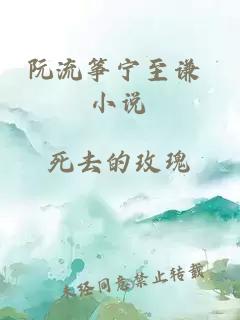 阮流箏寧至謙 小說