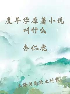 度年華原著小說叫什么