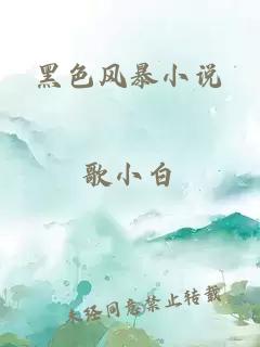 黑色風暴小說