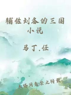 輔佐劉備的三國小說