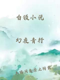 白領(lǐng)小說(shuō)