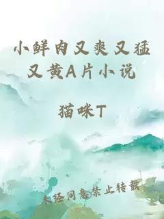 小鮮肉又爽又猛又黃A片小說(shuō)