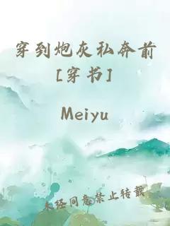 穿到炮灰私奔前[穿書(shū)]