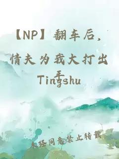 【NP】翻車后，情夫為我大打出手