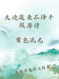 大佬追妻不擇手段唐詩