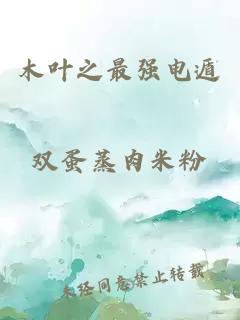 木葉之最強(qiáng)電遁