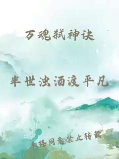 萬(wàn)魂弒神訣