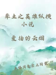 率土之英雄縱橫小說